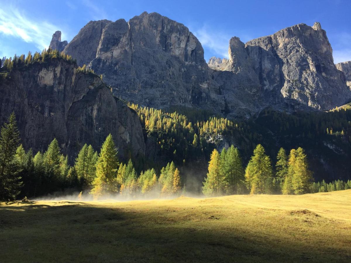 Piz Alpin Bed & Breakfast *