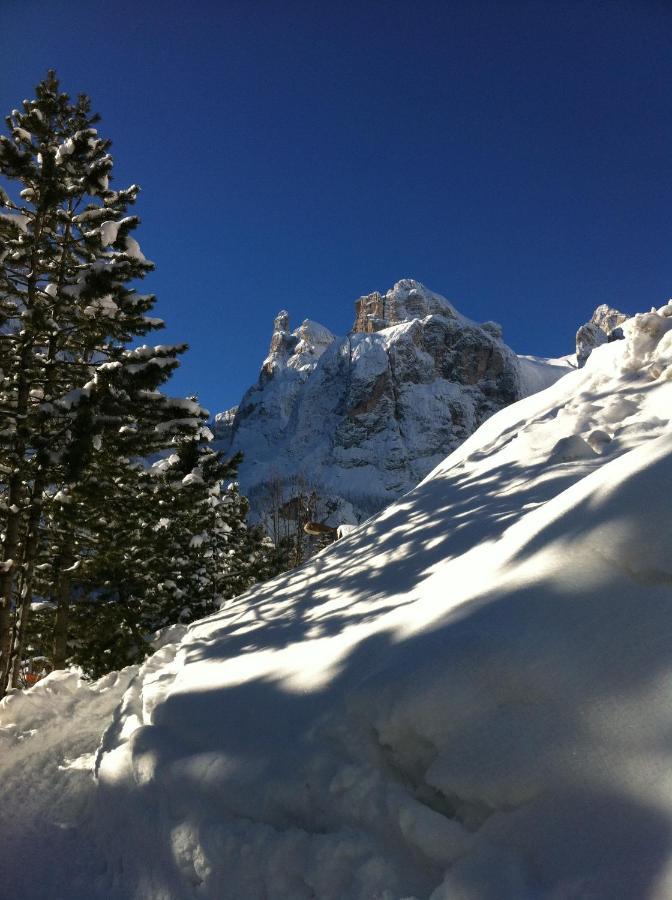 Piz Alpin Bed & Breakfast